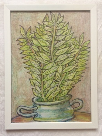 Серия «Растения в горшке»  Многолистник в горшке