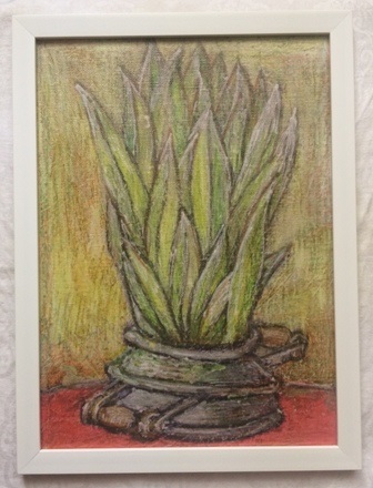 Серия «Растения в горшке» Пестролистник в сером горшке